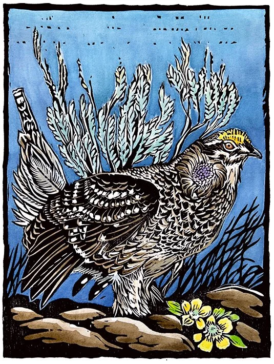 NEW: Sharp-tailed Grouse — Claire Emery Woodblock Prints